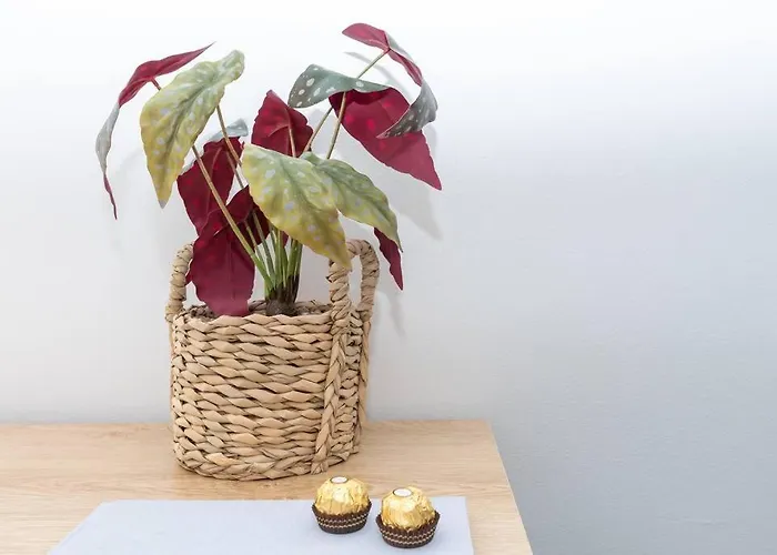 Sunny Days Getaway In The Heart Of East St Kilda